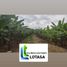  Land for sale in Guayaquil, Guayas, Guayaquil, Guayaquil, Guayas