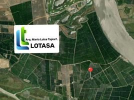  Land for sale in Samborondon, Guayas, Samborondon, Samborondon