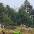  Land for sale in Jasinga, Bogor, Jasinga