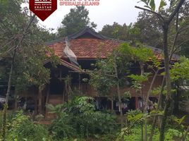  Land for sale in Setu Babakan, Jaga Karsa, Jaga Karsa