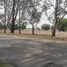  Land for sale in Zumpango, Mexico, Zumpango
