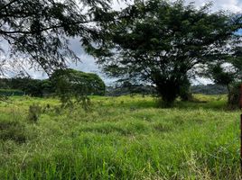  Land for sale in Xico, Veracruz, Xico