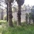  Land for sale in Zumpango, Mexico, Zumpango
