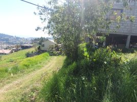  Land for sale in Valle, Cuenca, Valle