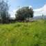  Land for sale in Valle, Cuenca, Valle