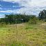  Land for sale in Puembo, Quito, Puembo