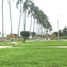  Terreno (Parcela) en venta en Castilla, Piura, Castilla, Piura, Piura