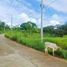  Land for sale in Central Visayas, Cebu City, Cebu, Central Visayas