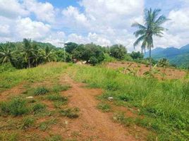  Land for sale in Central Visayas, Cebu City, Cebu, Central Visayas