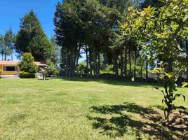  Land for sale in Checa Chilpa, Quito, Checa Chilpa