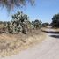 Land for sale in Tizayuca, Hidalgo, Tizayuca