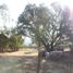  Land for sale in Tizayuca, Hidalgo, Tizayuca