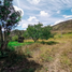  Land for sale in Azuay, Paute, Paute, Azuay