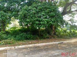  Land for sale in Tiaong, Quezon, Tiaong