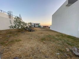  Land for sale in Huimilpan, Queretaro, Huimilpan