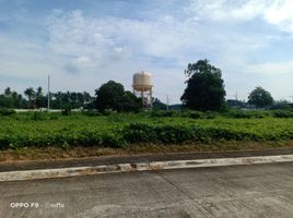  Land for sale in Tiaong, Quezon, Tiaong