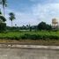  Land for sale in Tiaong, Quezon, Tiaong