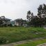  Terreno (Parcela) en venta en Calamba City, Calabarzon, Calamba City, Laguna, Calabarzon, Filipinas