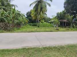  Land for sale in Sibulan, Negros Oriental, Sibulan