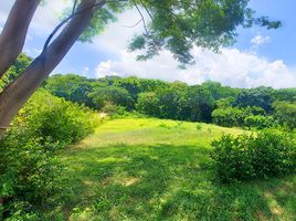  Land for sale in Magdalena, Santa Marta, Magdalena