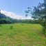  Land for sale in Magdalena, Santa Marta, Magdalena