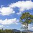  Land for sale in Morelia, Michoacan, Morelia