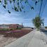  Terreno (Parcela) en venta en San Agustin Tlaxiaca, Hidalgo, San Agustin Tlaxiaca