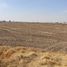  Terreno (Parcela) en venta en San Agustin Tlaxiaca, Hidalgo, San Agustin Tlaxiaca