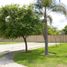  Land for sale in Ocoyucan, Puebla, Ocoyucan