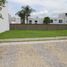  Land for sale in Ocoyucan, Puebla, Ocoyucan