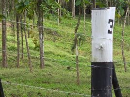  Grundstück zu verkaufen in La Chorrera, Panama Oeste, Mendoza, La Chorrera