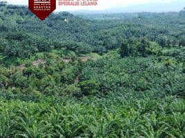  Terrain for sale in Bengkulu, Kaur Tengah, Bengkulu Selatan, Bengkulu