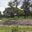  Terreno (Parcela) en venta en Puebla, Puebla, Puebla, Puebla