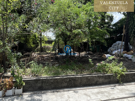  Terrain for sale in Valenzuela City General Hospital, Valenzuela City, Valenzuela City