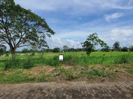  Land for sale at Riomonte, Calamba City