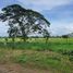  Land for sale at Riomonte, Calamba City