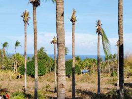  Grundstück zu verkaufen in Negros Oriental, Negros Island Region, Dauin, Negros Oriental