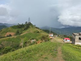  Terreno (Parcela) en venta en Cebu City, Central Visayas, Cebu City, Cebu, Central Visayas, Filipinas