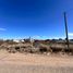  Terrain for sale in Biedma, Chubut, Biedma