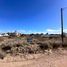  Terrain for sale in Biedma, Chubut, Biedma