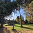  Land for sale in San Jeronimo Tecuanipan, Puebla, San Jeronimo Tecuanipan