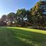  Land for sale in San Jeronimo Tecuanipan, Puebla, San Jeronimo Tecuanipan