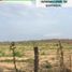  Land for sale in Guayaquil, Guayas, Guayaquil, Guayaquil, Guayas