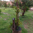  Land for sale in Villa De Arriaga San Luis Potosi, Villa De Arriaga