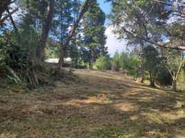  Land for sale in Guarne, Antioquia, Guarne