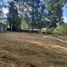  Land for sale in Guarne, Antioquia, Guarne