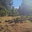  Land for sale in Guarne, Antioquia, Guarne
