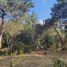  Land for sale in Guarne, Antioquia, Guarne