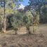  Land for sale in Guarne, Antioquia, Guarne