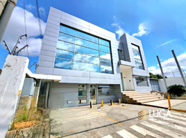 560 SqM Office for rent in Manabi, Manta, Manta, Manabi